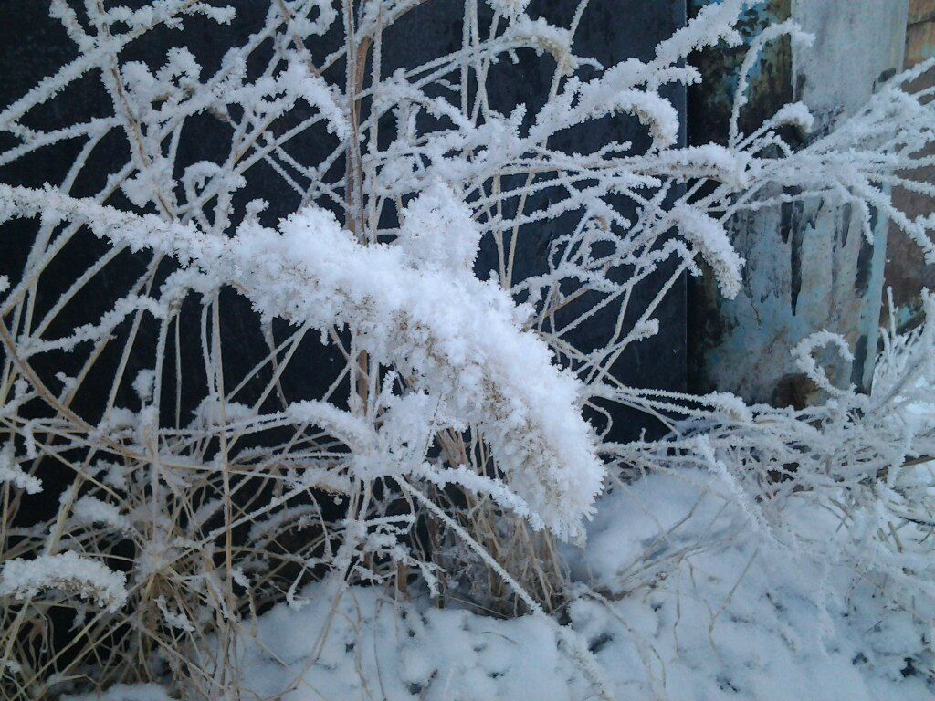 Антон Фандеев фотография #27