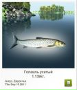Вадім Горковенко фотография #15 (источник - https://vk.com/id132061658)