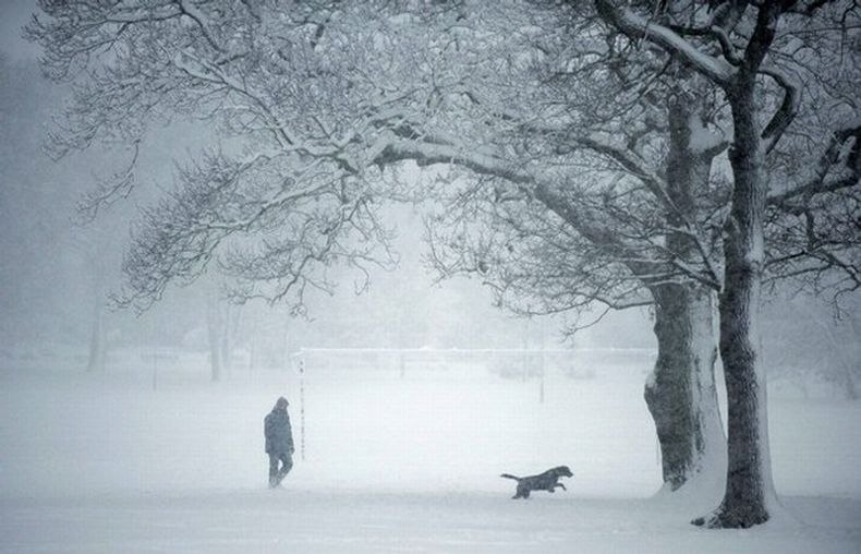 Дмитрий Ольшин фотография #32