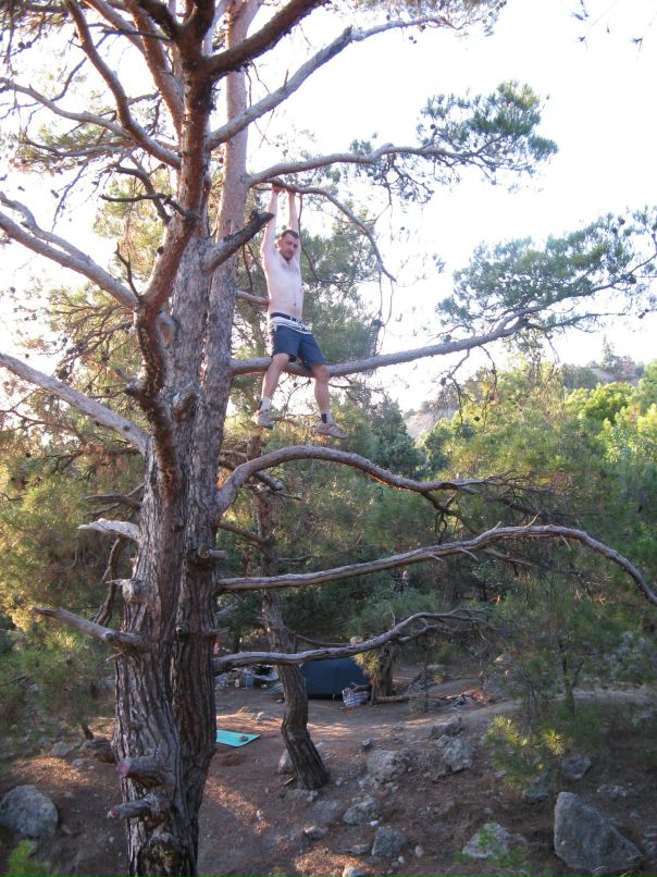 Cucumber Jam фотография #44