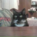 Іван Назаров фотография #33 (источник - https://vk.com/id134915927)