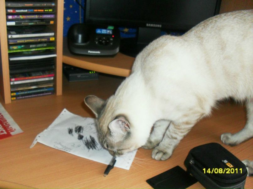 Игорь Лихачёв фотография #44