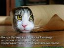 Миша Крив____венко фотография #1