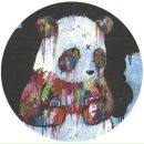 Руслан Руф фотография #49 (источник - https://vk.com/id7143387)