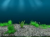 Саша Потішук фотография #4 (источник - https://vk.com/id133713145)