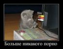 Міша Вознюк фотография #31 (источник - https://vk.com/id34819083)