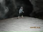 Анна Чащина фотография #13 (источник - https://vk.com/id2202140)