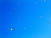 Катя Лайт фотография #31 (источник - https://vk.com/id3798287)