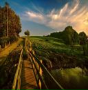 Фотография Кулигиной Нелли