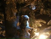 Анна Цымбал фотография #11 (источник - https://vk.com/id2266870)