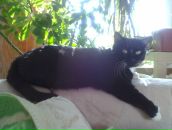 Фотография Марковой Натальи