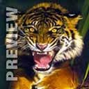 Владислав Коломієць фотография #27 (источник - https://vk.com/id95067835)