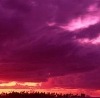 Наташа Грінческу фотография #31 (источник - https://vk.com/id135048233)