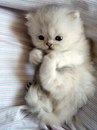 Алінка Бекерук фотография #16 (источник - https://vk.com/id168188194)