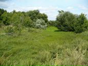 Роман Балов фотография #22 (источник - https://vk.com/id348393)