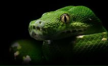 Фотография Гурклис Ольги