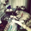 Стас Юрків фотография #1