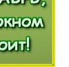 Ромашка Луців фотография #1