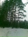 Панчук Сергій фотография #26 (источник - https://vk.com/id156658041)