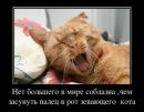 Андрій Кудла фотография #19 (источник - https://vk.com/id26355838)