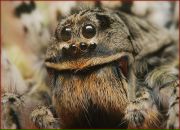 Фотография Маркоффа Владимира