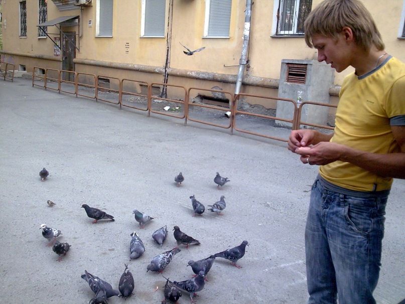 Артём Морев фотография #20