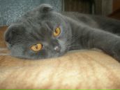 Фотография Фоминой Галины