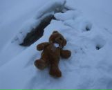 Фотография Бурдинской Маши