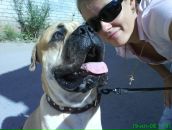 Фотография Бесогоновой Натальи