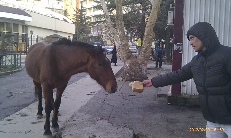 Дмитрий Онищенко фотография #41