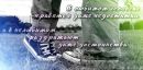 Лєна Снопок фотография #28 (источник - https://vk.com/id135365160)