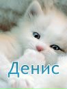 Оля Цісар фотография #25 (источник - https://vk.com/id69186844)