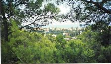 Андрій Мітлош фотография #12 (источник - https://vk.com/id12815995)