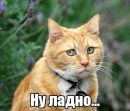 Фотография Штрыкова Игоря