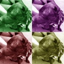 Osman Erken фотография #8 (источник - https://vk.com/id145117428)