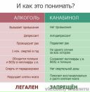 Фотография Родионова Вячеслава