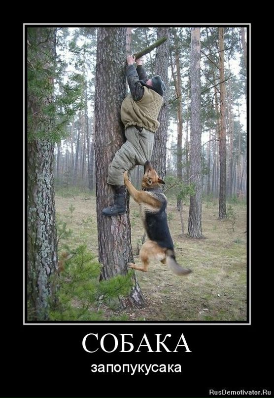 Иван Бояркин фотография #38