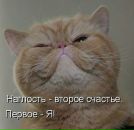 Фотография Дудко Татьяны