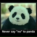 Фотография Иванова Андрея