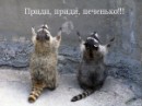 Фотография Каргашиной Наташи