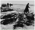 Фотография Yep Kremlrisdb