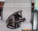 Сергій Чубар фотография #5 (источник - https://vk.com/id69593597)
