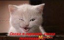 Сергій Чубар фотография #10 (источник - https://vk.com/id69593597)