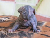 Фотография Поливанного Алексея