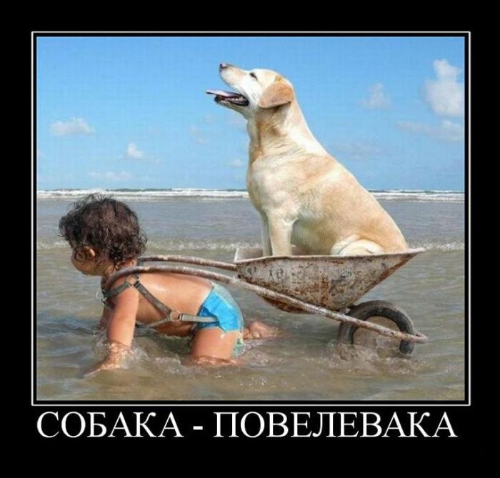 Дмитрий Рудаков фотография #40