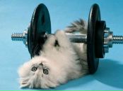 Віталік Федун фотография #34 (источник - https://vk.com/id21116385)