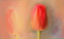 Оля Акимова фотография #49 (источник - https://vk.com/id1571407)