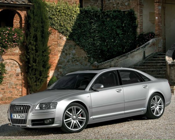 Дэн Брачо фото №2