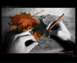 Фотография Лялиной Ани