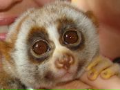 Фотография Берзой Нины